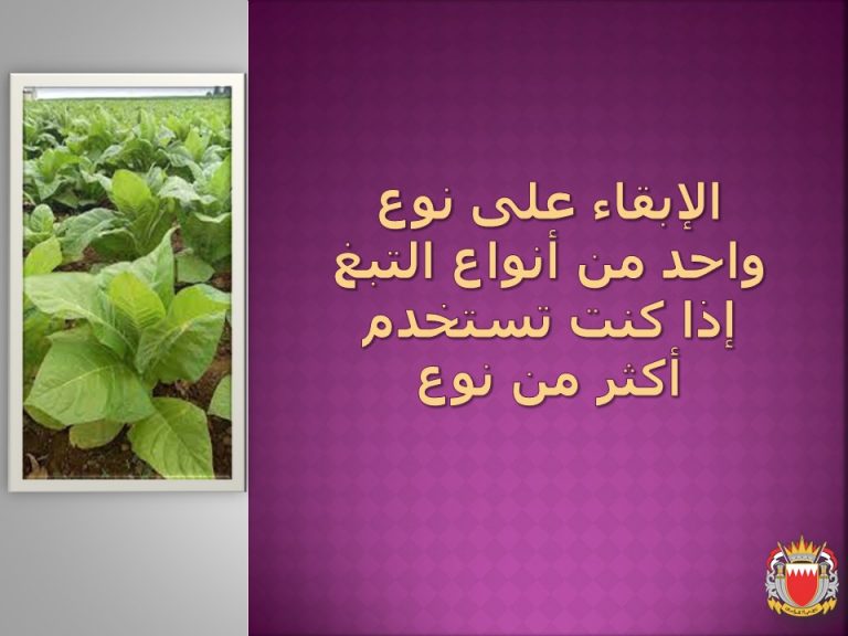 Slide4