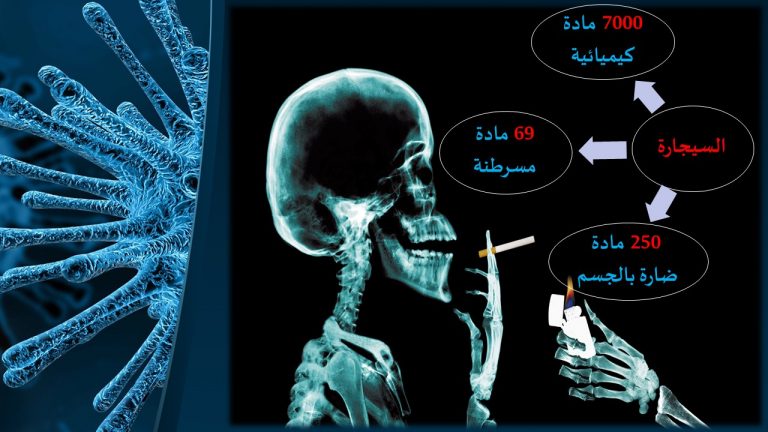 Slide9